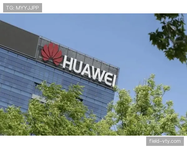 博洛尼亚近期持续保持稳定发挥，关键战连续取胜竞争力凸显